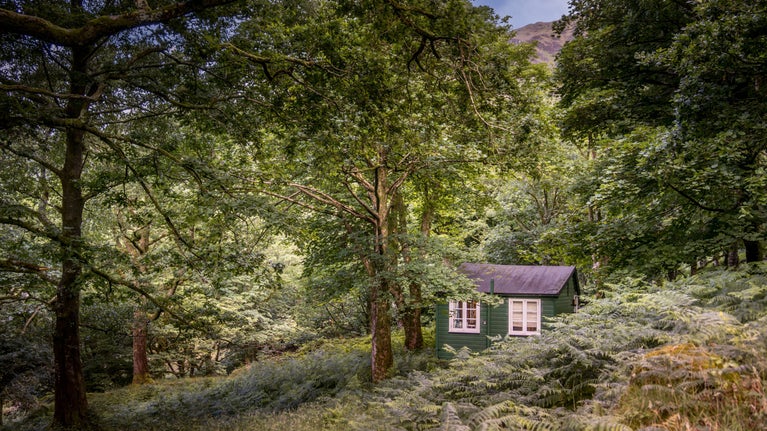The exterior of The Chalet at Yr Ogof amongst the trees and ferns, Gwynedd